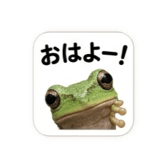 kikirara_20260502065708