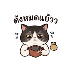 Thanatcha_20260502163201