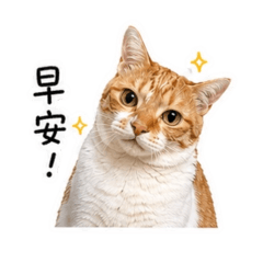 柚子在想什麼（生活篇）