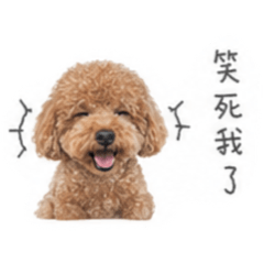 咪咪笑嘻嘻