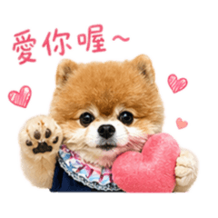澎澎表達愛意