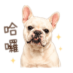 202209 麻吉妹妹3.0