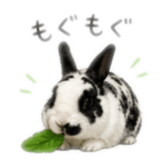 kuro_20260428201940