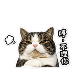 麵麵傲嬌篇