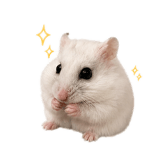 福寶生活日誌