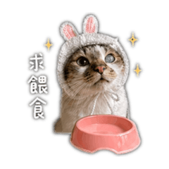黑糖one