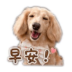 胖公主2