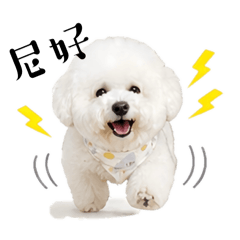 Miffy日常用語.