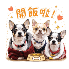 摳摳 歐元 美金 一家三口