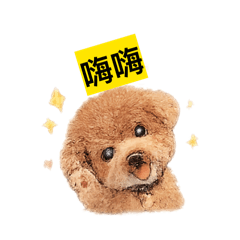 我是最乖的寶寶Didi