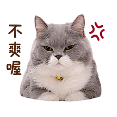 4個屁孩的日常
