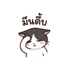 @maw