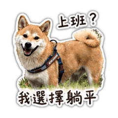 搗灰和搗拎