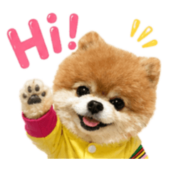 澎澎：日常生活