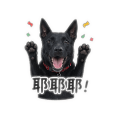 小嘿日常生活