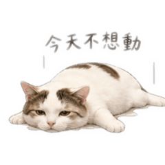 廢萌液體貓
