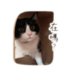 我叫沐沐