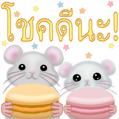 <ภาษาไทย>Macaron หนู