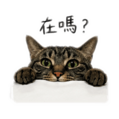 陳喵喵～