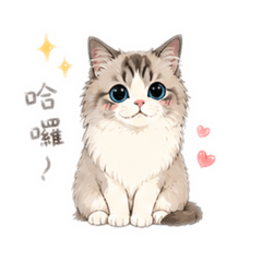 Small 貼圖