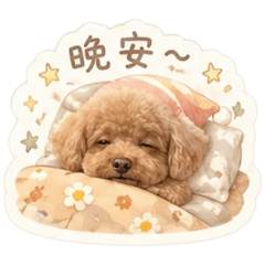 NIUの日常