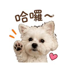 臭肥肥肥