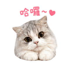 吉吉芭比娃娃