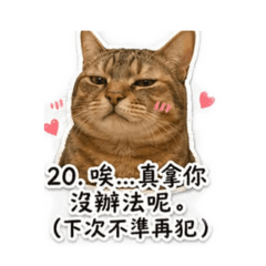 傲嬌的張阿皮