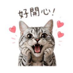 美短 多菲恩