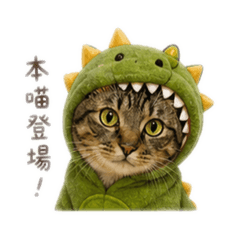 腿腿寶寶2
