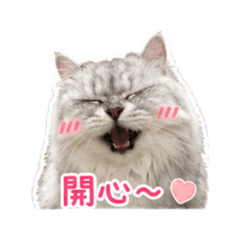 我家寶貝Q公主