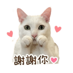 多多345