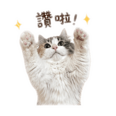 Rumi生活日誌01
