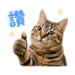 沙米素西小天地3