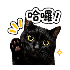 豆豆豆好可愛