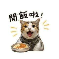 餒餒與阿喵-第二彈
