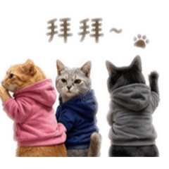 球饅灰