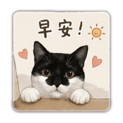 賓士貓的問候語