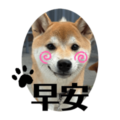 もも醬第一彈❶