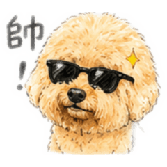 帥孬