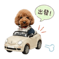 我把姓賴我媽姓林我叫賴林