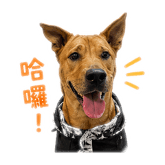 日常QQQQ