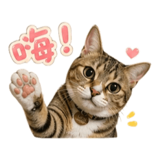 Umi的日常生活