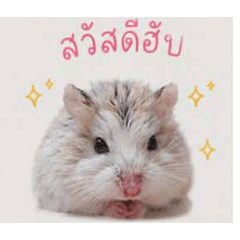 It me_20260429150914