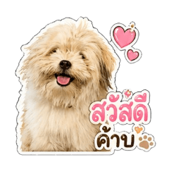 MOJI_Dog