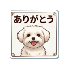 NOA_20260428202400
