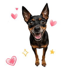 minpin Roger