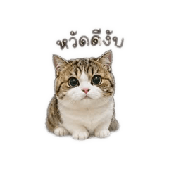 Mochi Stamp_20260430221916