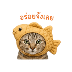 mango cat_20260430221505