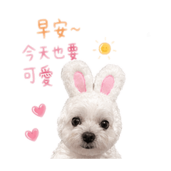 Cutetealove